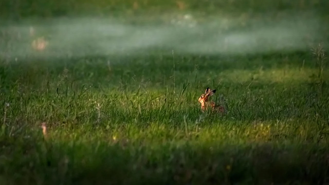 IVF: A Complete Guide to In Vitro Fertilization in 2024