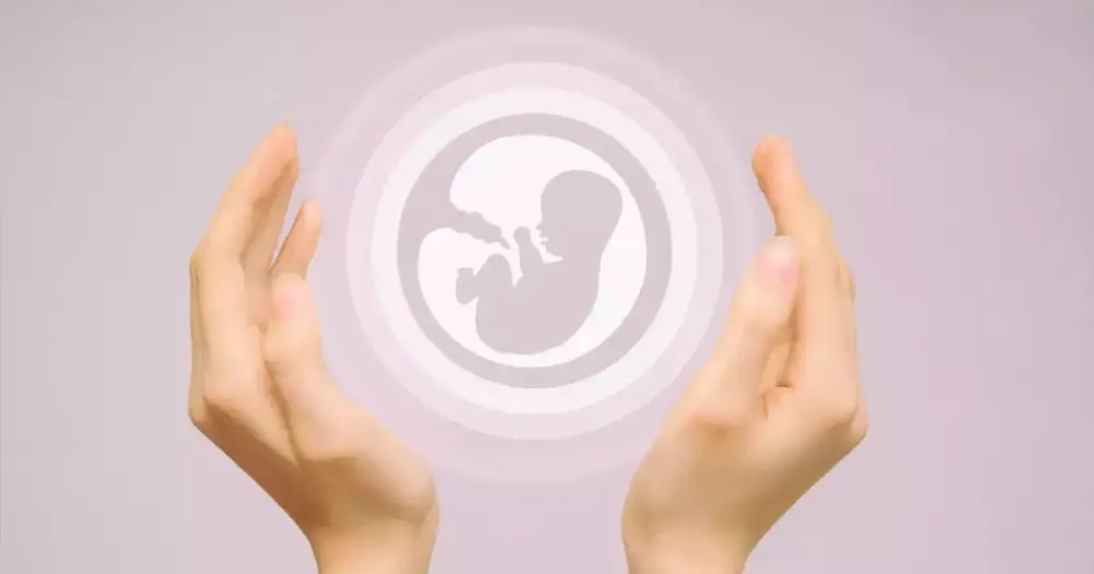 IVF Cost in the US: What You Should Expect in 2025