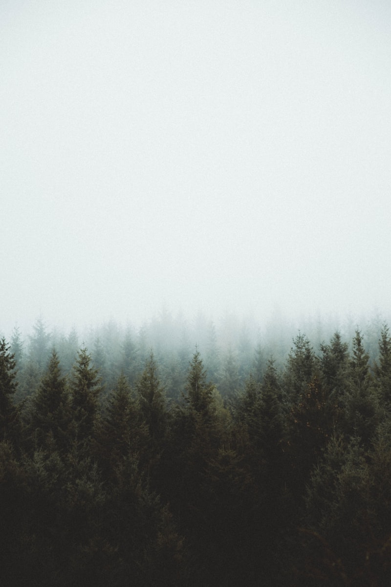 How Nature Influences Our Well-being How Nature Influences Our Well-being