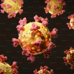 Immune Systems of Mammals