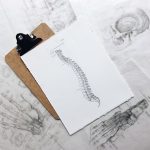 Strengthening Bones and Joints
