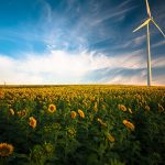The Impact of Yoga on Your Overall Energy and Vitality