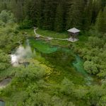Tips for Building a Wildlife Pond